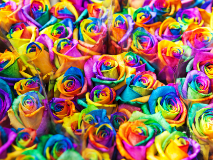 Rainbow Bouquet of Cut Flowers