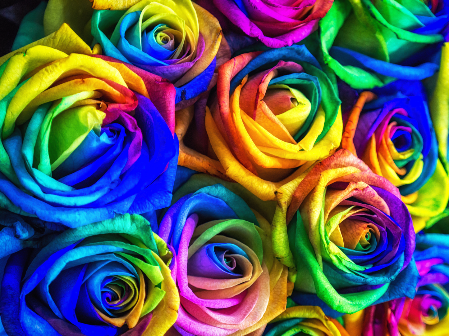 Rainbow Bouquet of Cut Flowers