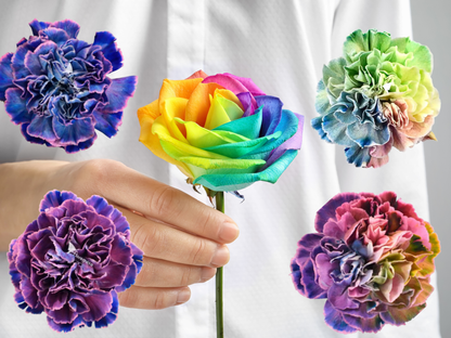 Rainbow Bouquet of Cut Flowers