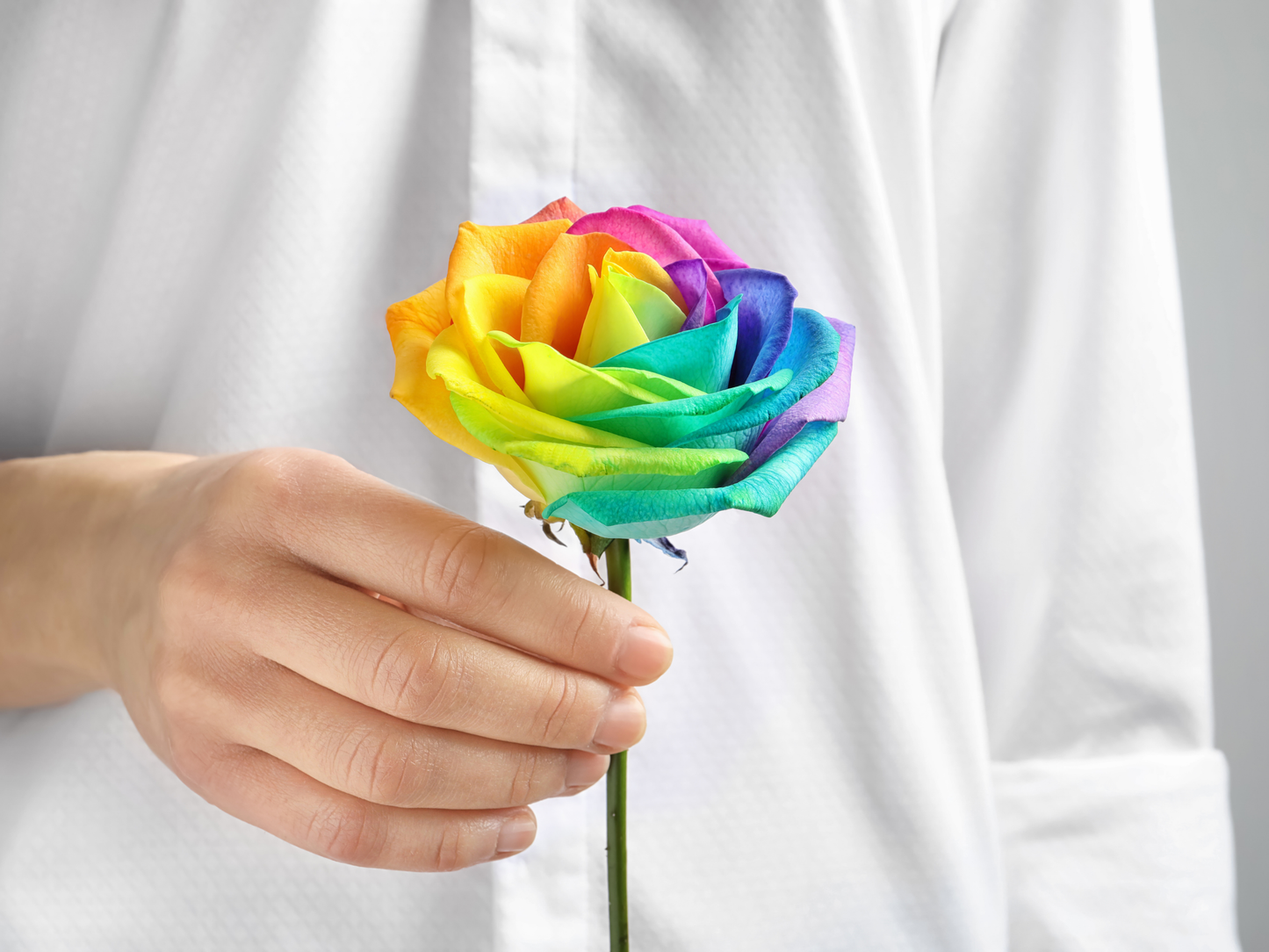 Rainbow Bouquet of Cut Flowers